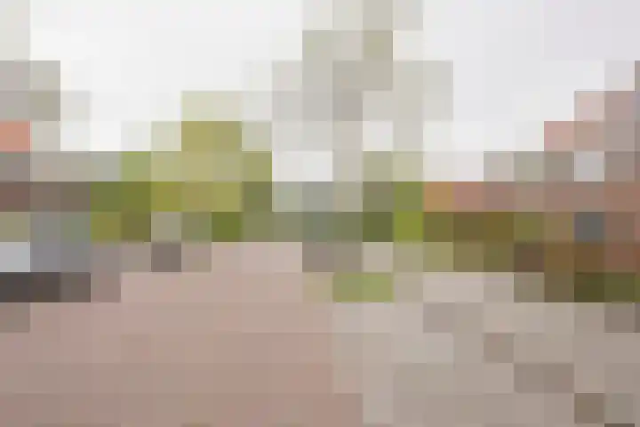 Beetzlaan 122 Soest thumbnail 37