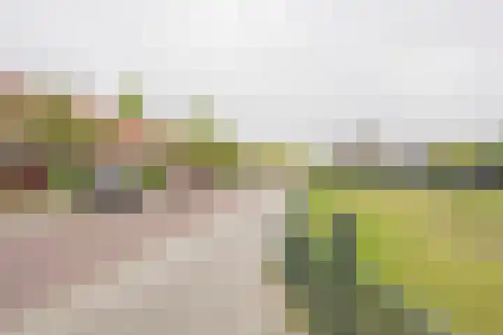 Beetzlaan 122 Soest thumbnail 38