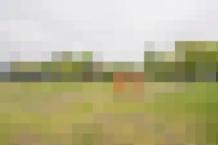 Beetzlaan 122 Soest thumbnail 39