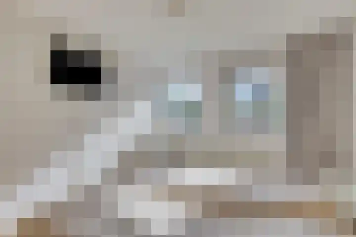 Beetzlaan 5 Soest thumbnail 12