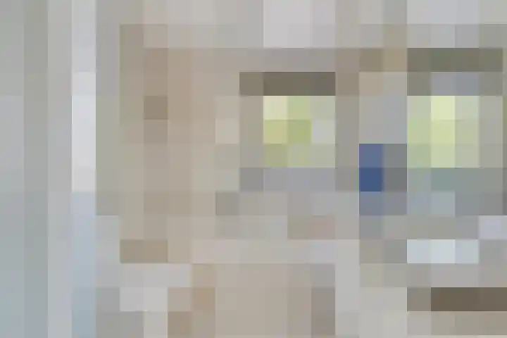 Beetzlaan 5 Soest thumbnail 18