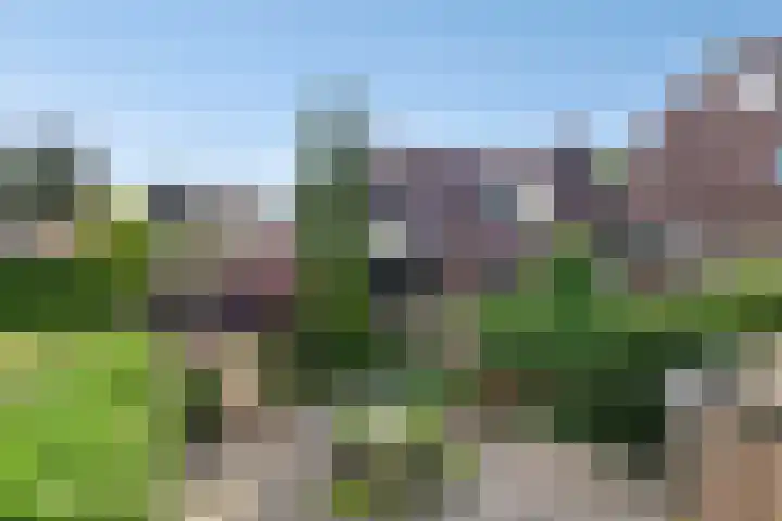 Beetzlaan 5 Soest thumbnail 29