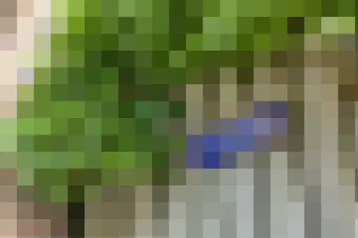 Beetzlaan 5 Soest thumbnail 33