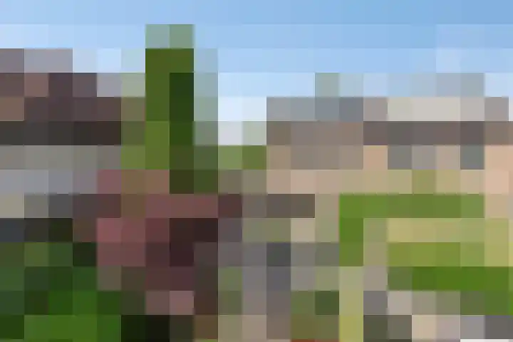 Beetzlaan 5 Soest thumbnail 36