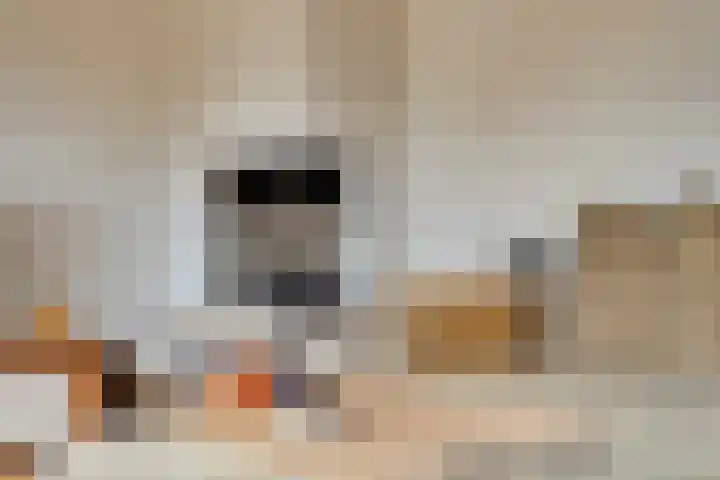 Beetzlaan 5 Soest thumbnail 4