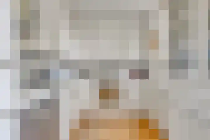 Beetzlaan 5 Soest thumbnail 8