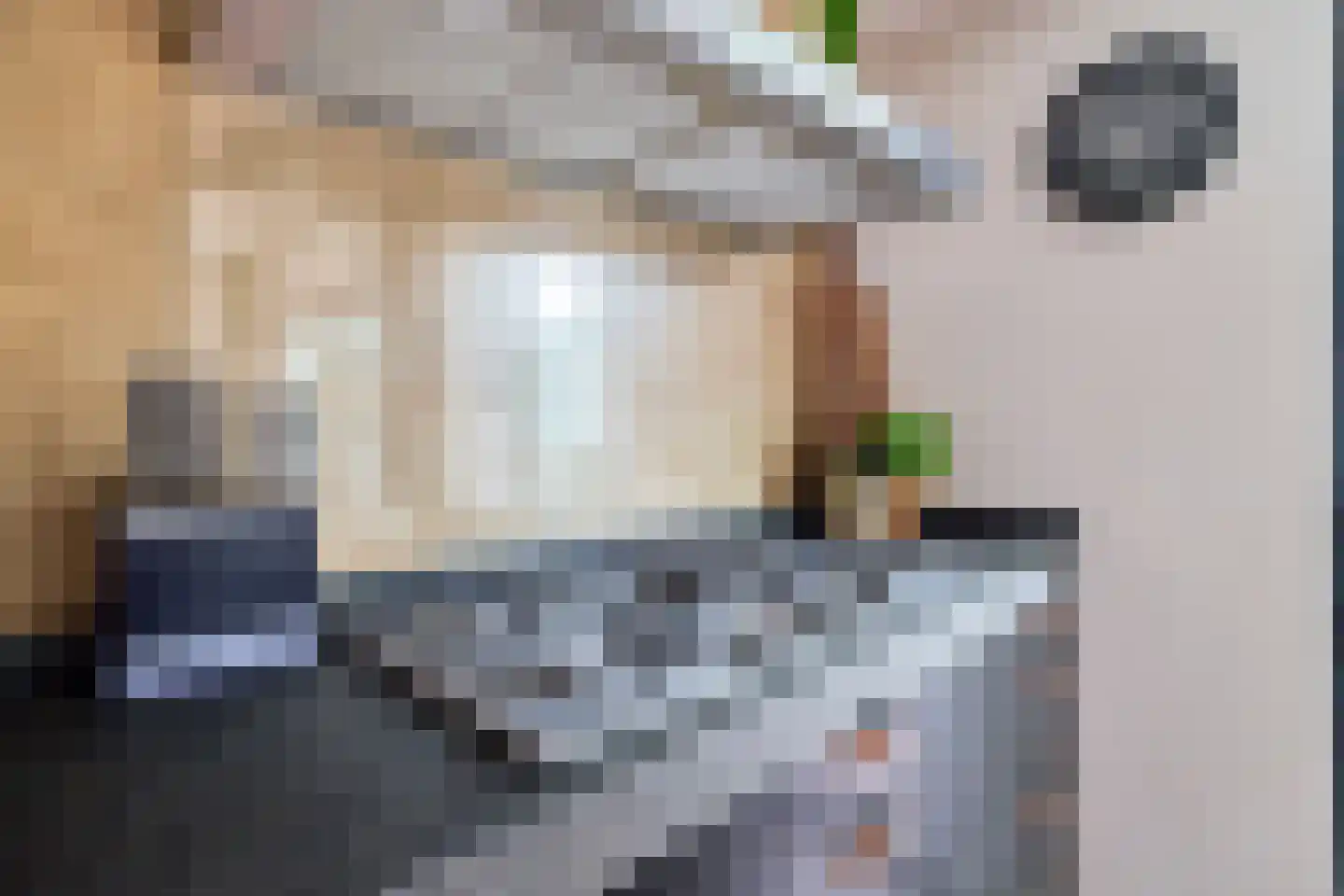 Beetzlaan 54 Soest thumbnail 14