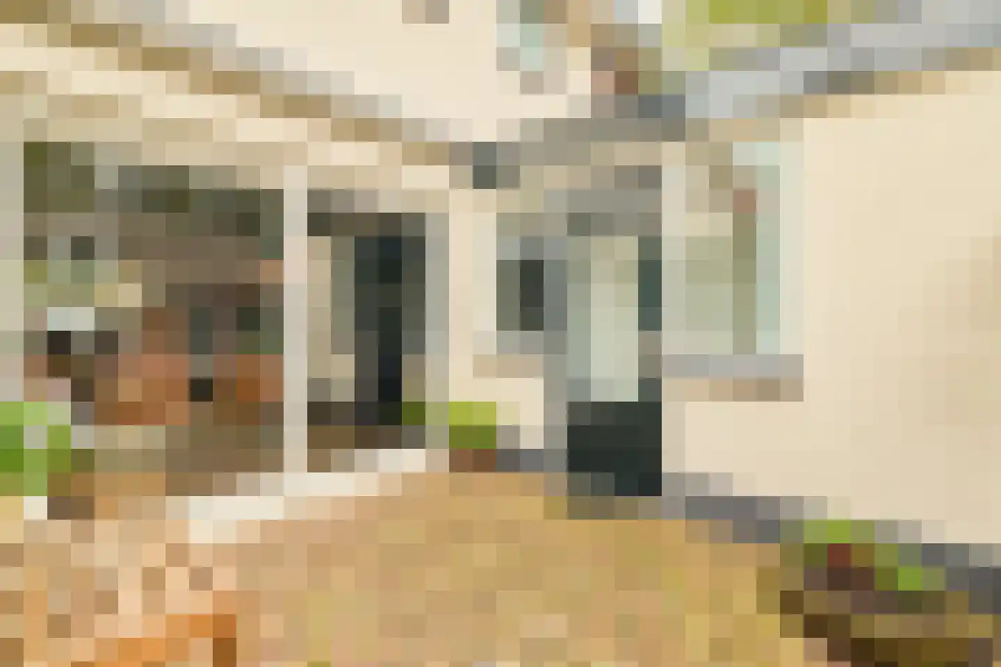 Beetzlaan 54 Soest thumbnail 33