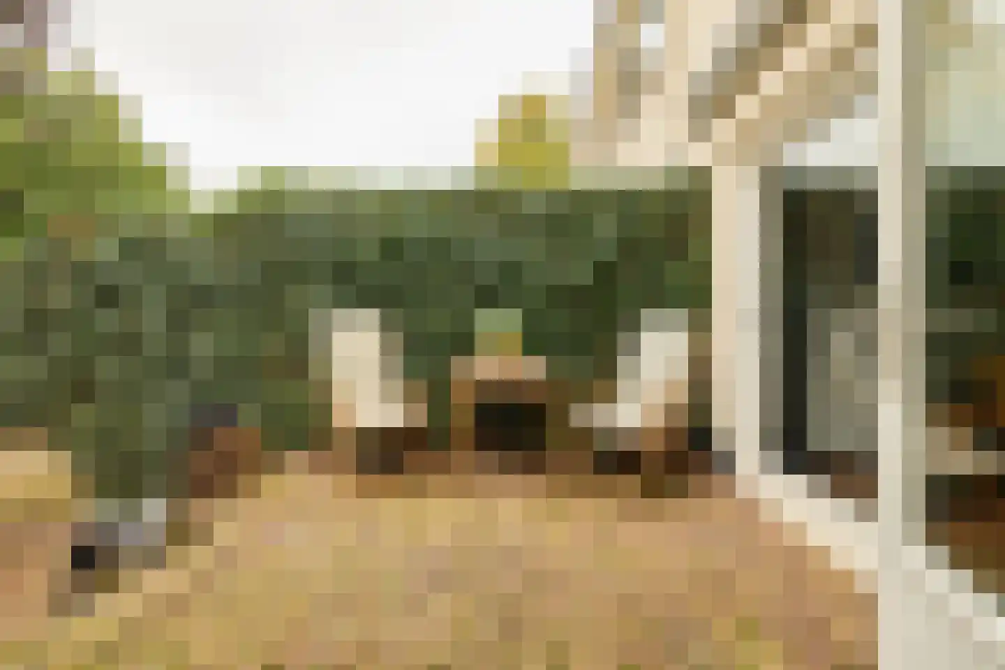Beetzlaan 54 Soest thumbnail 35