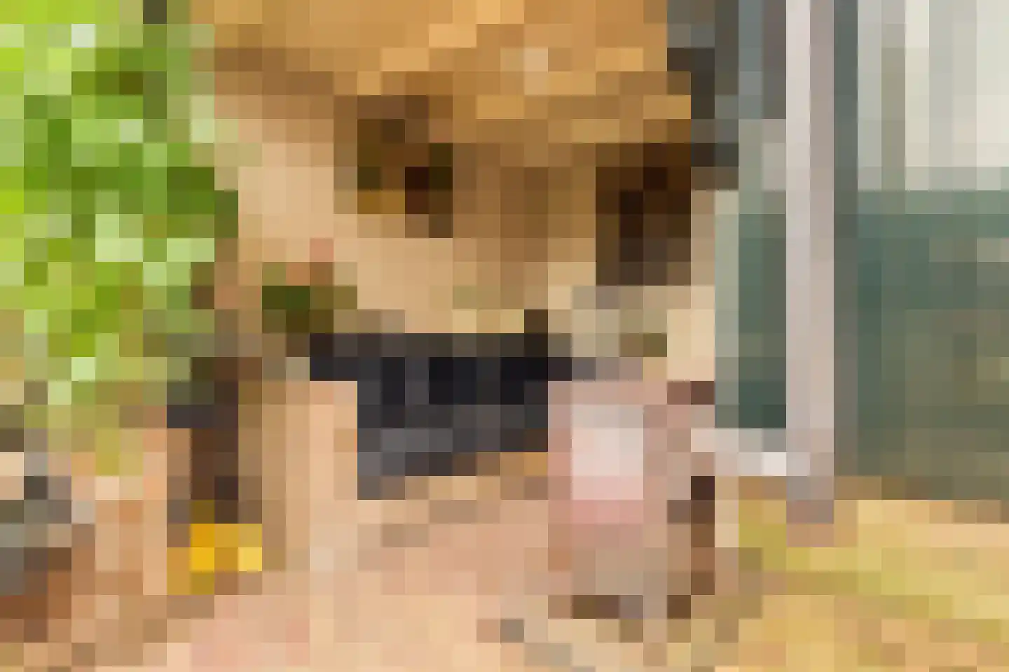 Beetzlaan 54 Soest thumbnail 38