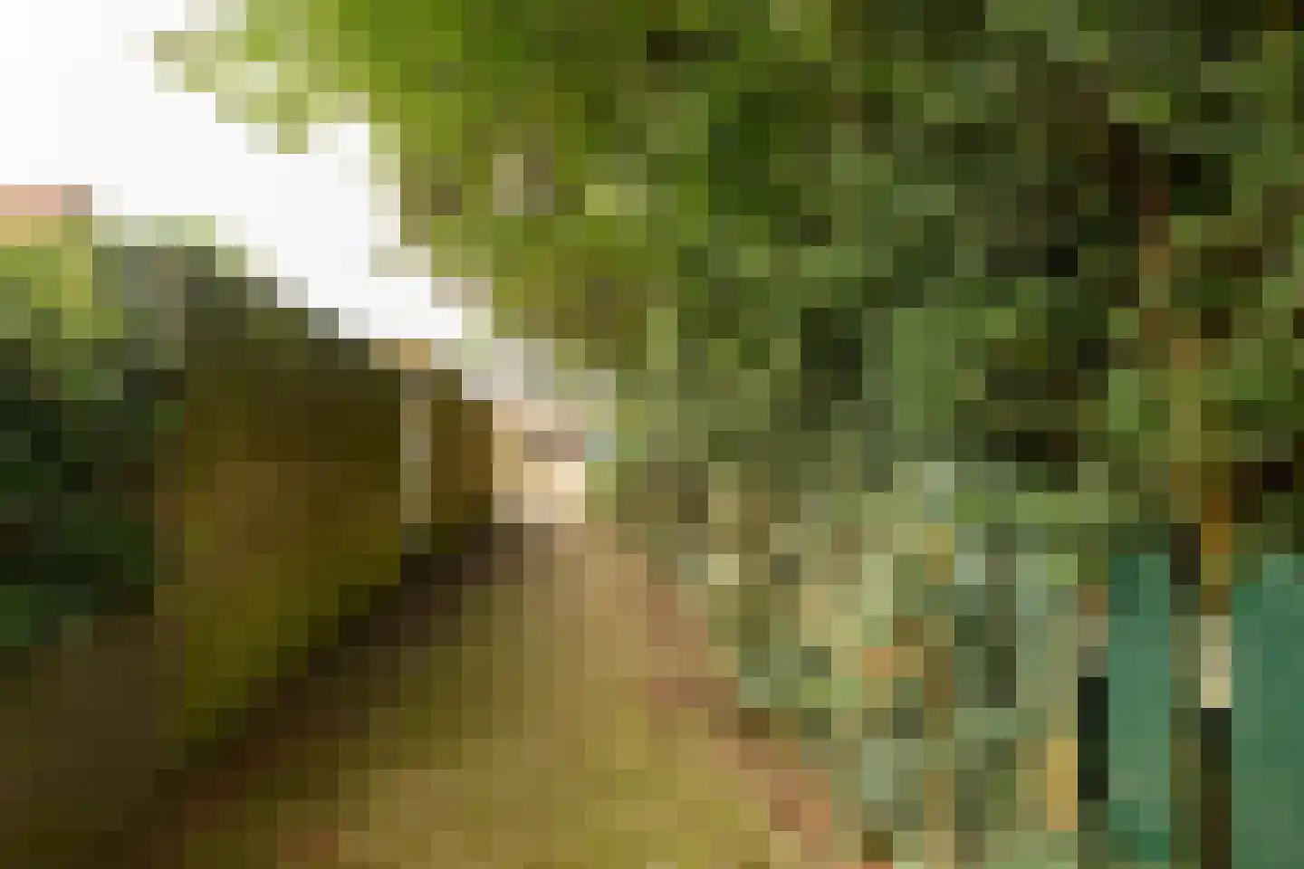 Beetzlaan 54 Soest thumbnail 43