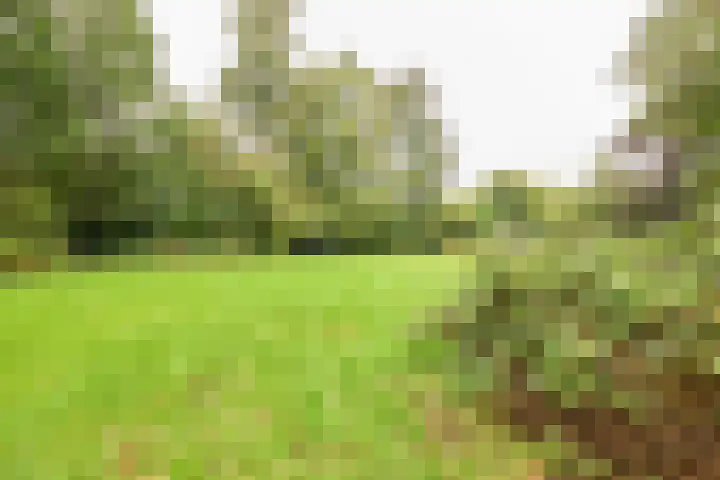 Beetzlaan 54 Soest thumbnail 44