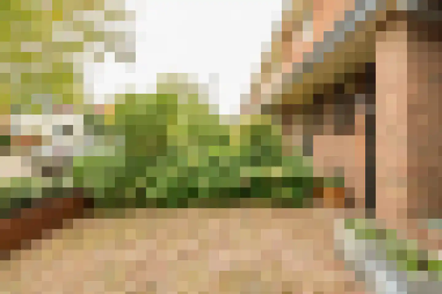 Beetzlaan 54 Soest thumbnail 46