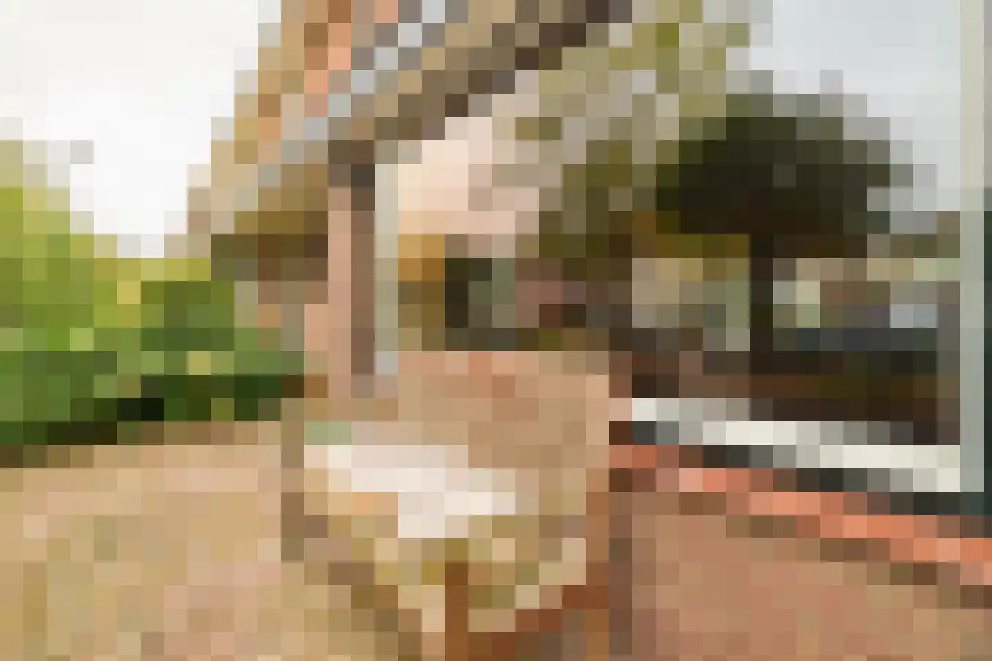 Beetzlaan 54 Soest thumbnail 48