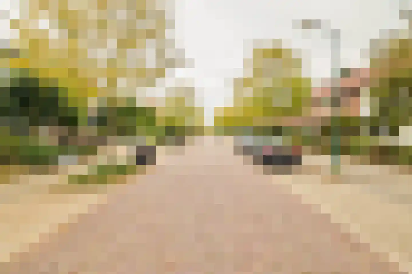 Beetzlaan 54 Soest thumbnail 49