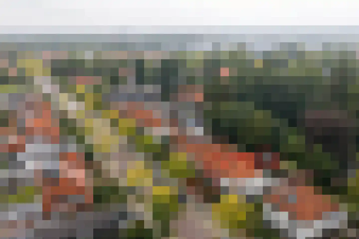 Beetzlaan 54 Soest thumbnail 52