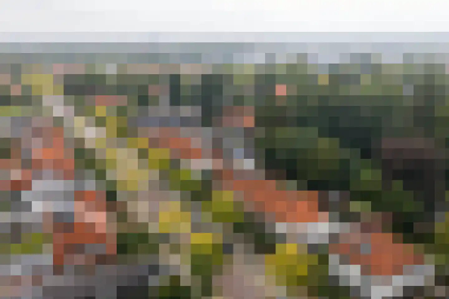 Beetzlaan 54 Soest thumbnail 53
