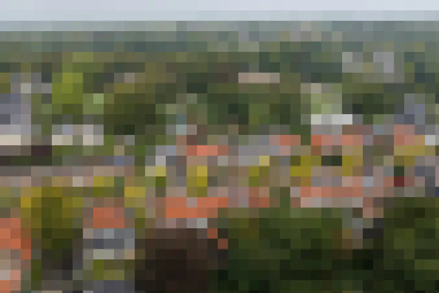 Beetzlaan 54 Soest thumbnail 55