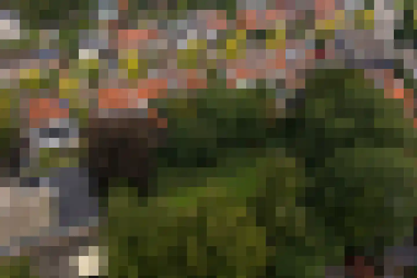 Beetzlaan 54 Soest thumbnail 56