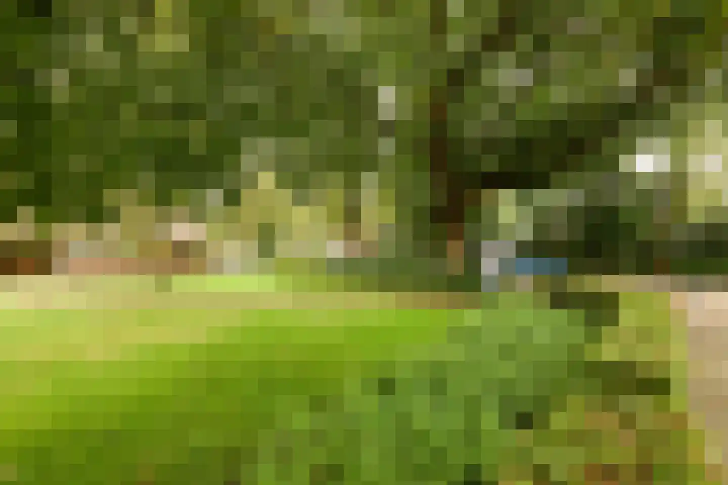 Beetzlaan 54 Soest thumbnail 58