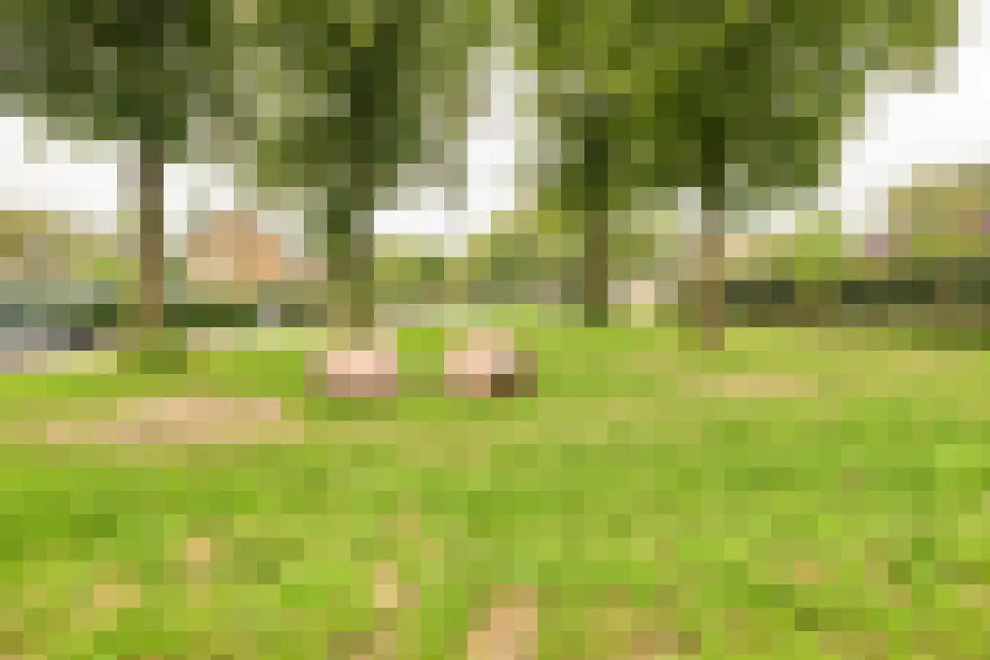 Beetzlaan 54 Soest thumbnail 59