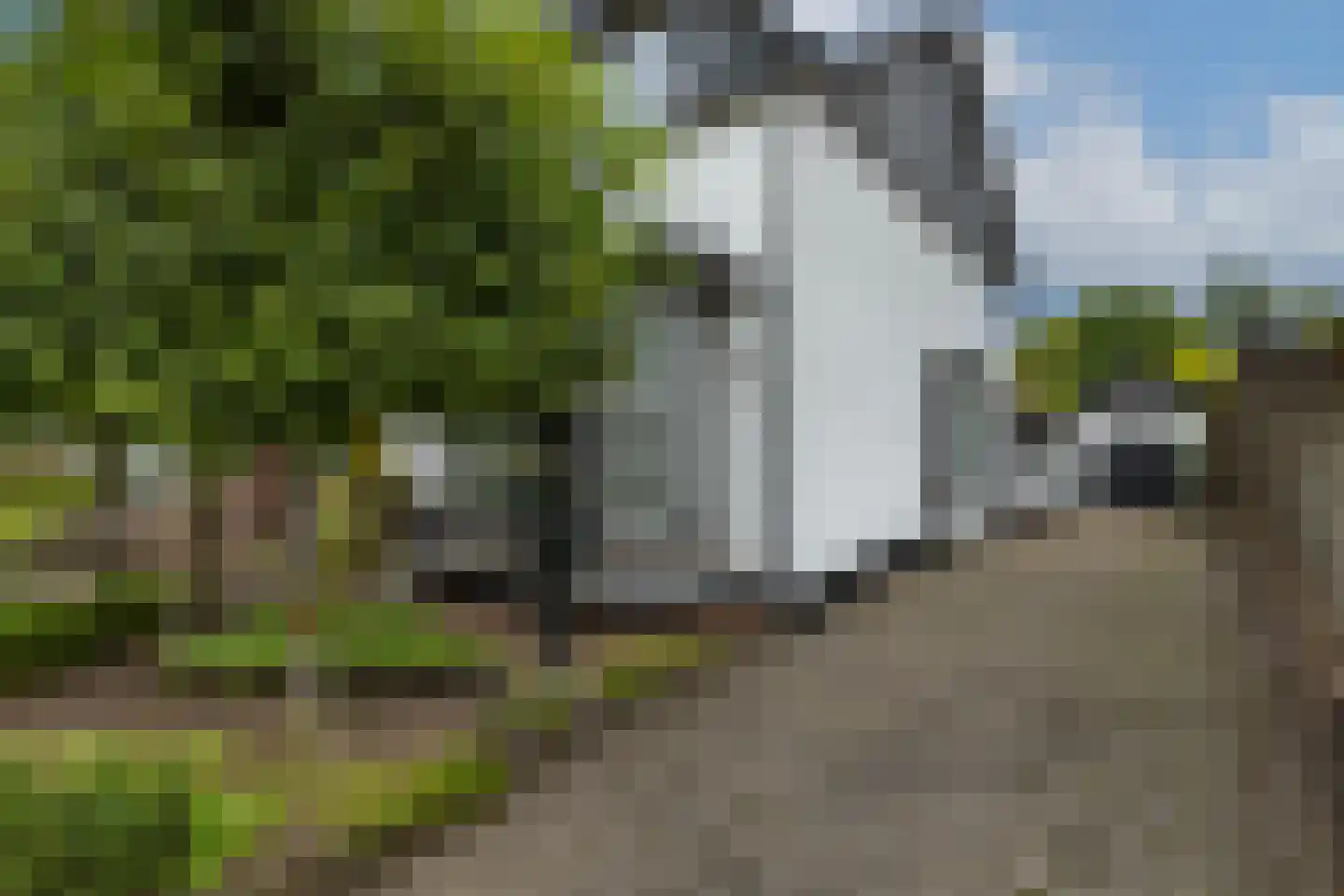 Beetzlaan 71 A Soest thumbnail 30