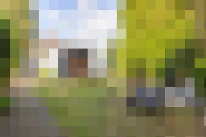 Beetzlaan 75 Soest thumbnail 18