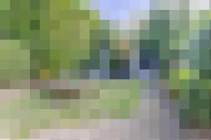 Beetzlaan 75 Soest thumbnail 19