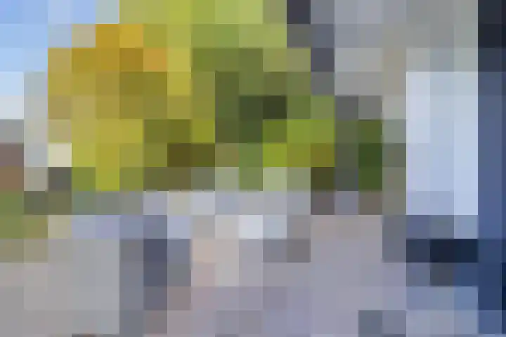 Beetzlaan 75 Soest thumbnail 20