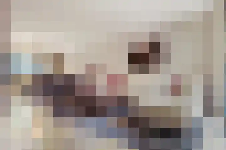 Begerslant 54 Volendam thumbnail 10