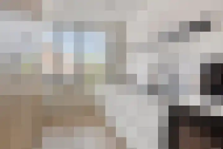 Beggadal 2 Valkenswaard thumbnail 11