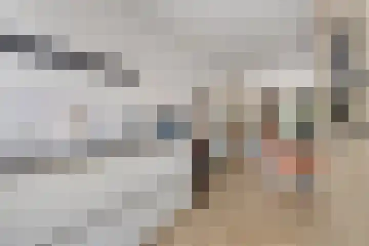 Beggadal 2 Valkenswaard thumbnail 16