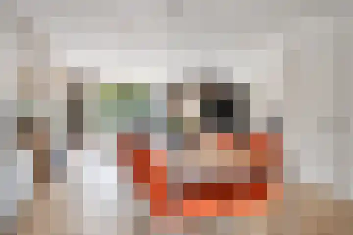 Beggadal 2 Valkenswaard thumbnail 17