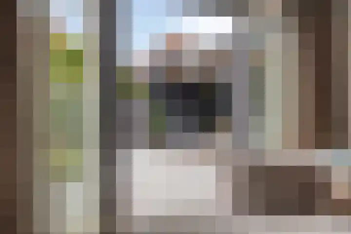 Beggadal 2 Valkenswaard thumbnail 21