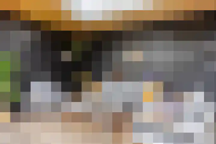 Beggadal 2 Valkenswaard thumbnail 23