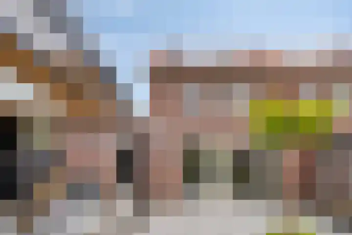 Beggadal 2 Valkenswaard thumbnail 24