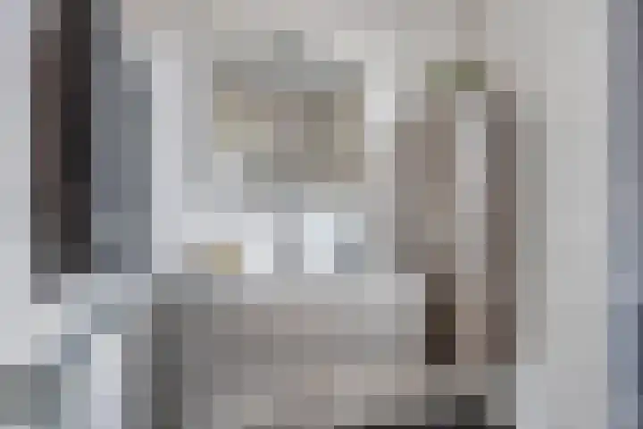 Beggadal 2 Valkenswaard thumbnail 32