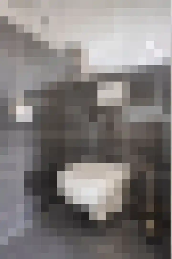 Beggadal 2 Valkenswaard thumbnail 34