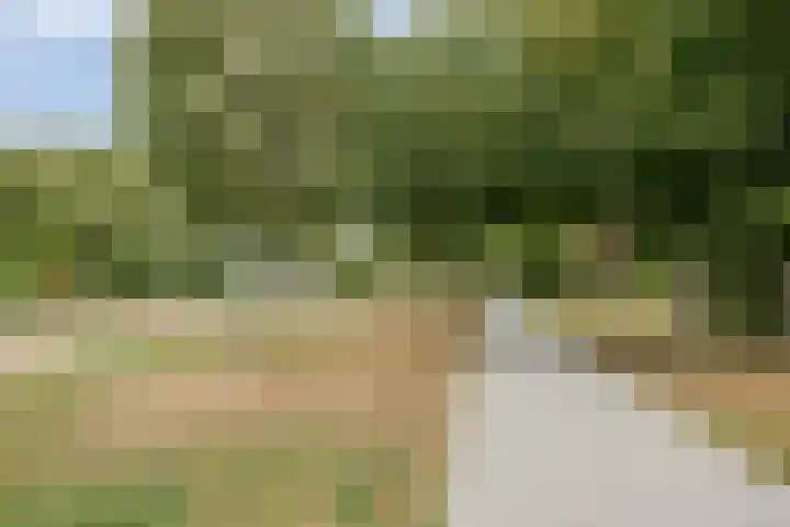 Beggadal 2 Valkenswaard thumbnail 40