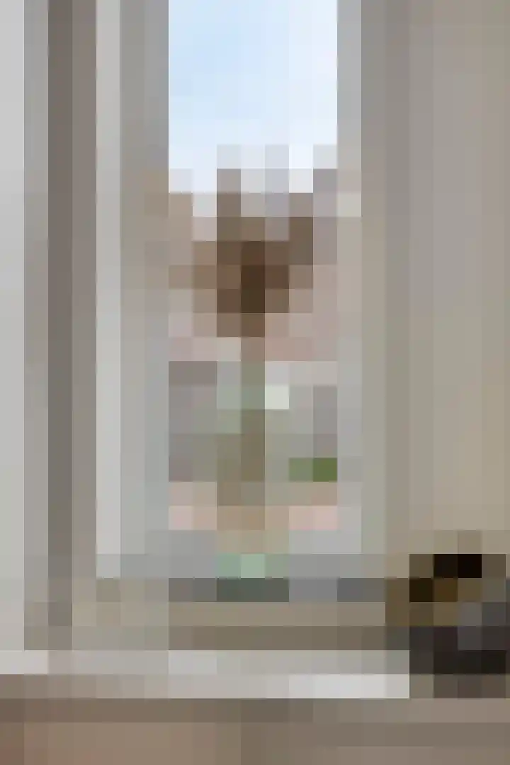 Beggadal 2 Valkenswaard thumbnail 8