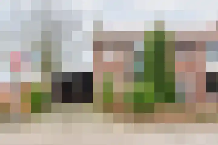 Beggelderdijk 1 Dinxperlo thumbnail 5