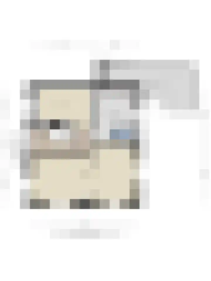 Beggelderdijk 28 Dinxperlo thumbnail 36