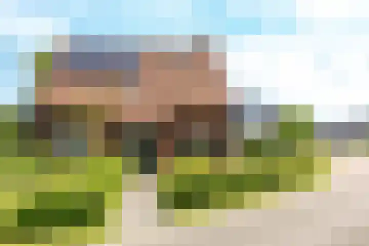 Beggelderdijk 28 Dinxperlo thumbnail 6