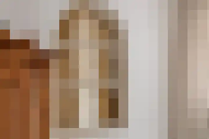Beggelderveldweg 18 Dinxperlo thumbnail 10