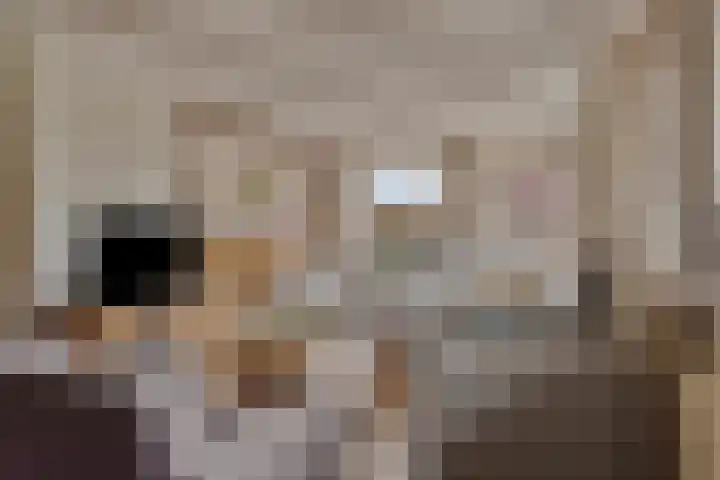 Beggelderveldweg 18 Dinxperlo thumbnail 11