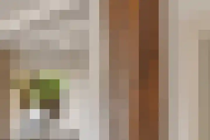 Beggelderveldweg 18 Dinxperlo thumbnail 12