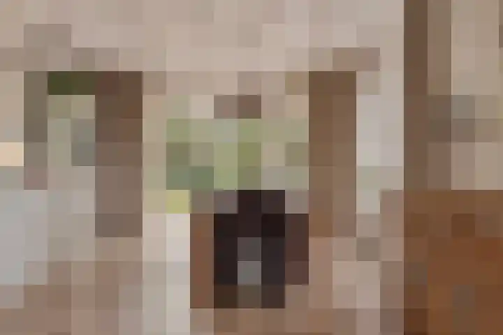 Beggelderveldweg 18 Dinxperlo thumbnail 13