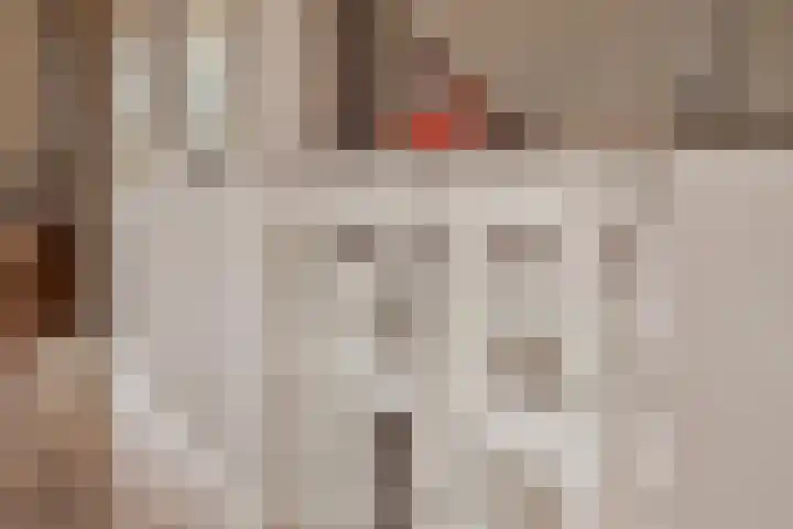 Beggelderveldweg 18 Dinxperlo thumbnail 17