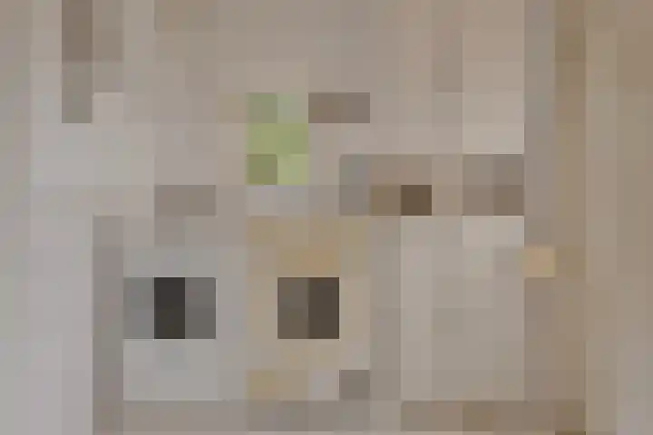 Beggelderveldweg 18 Dinxperlo thumbnail 19