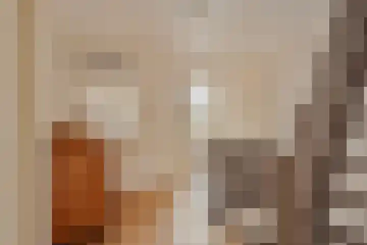 Beggelderveldweg 18 Dinxperlo thumbnail 21